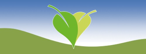 Modern Slavery and Climate Change: The Commitment of the Cities