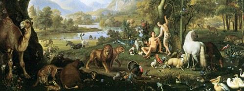 Biological Extinction