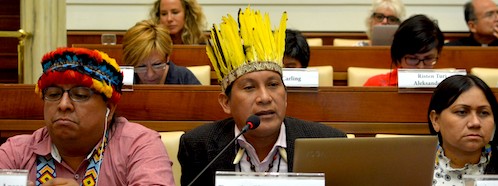 The SDGs and the Magisterium of Pope Francis for Indigenous Peoples