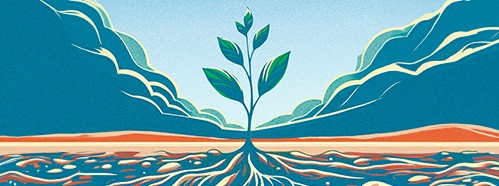 From Climate Crisis to Climate Resilience